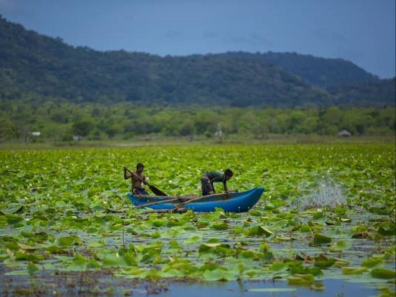 Grand Tamarind Lake Kataragama Esterno foto